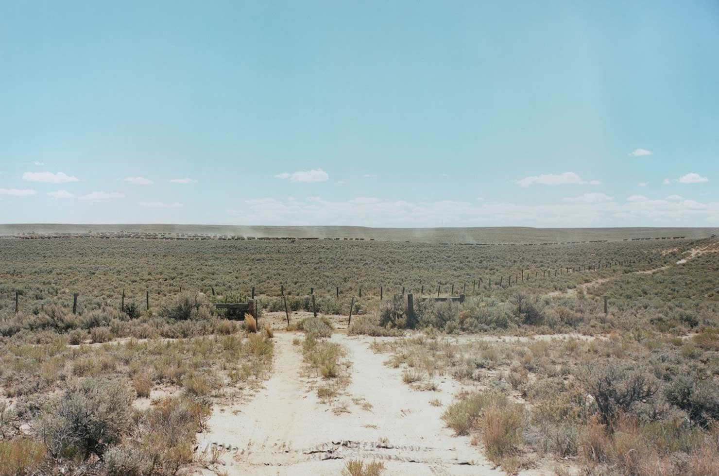 Industrial Innovation